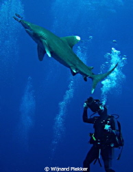 German videographer with Oceanic by Wijnand Plekker 